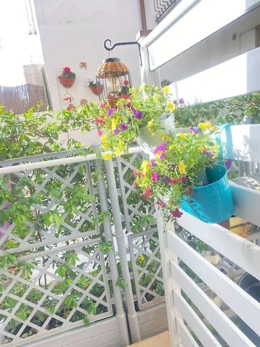 La Casa Di Francy Apartment Viareggio Italy